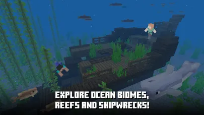 Minecraft screenshot 10
