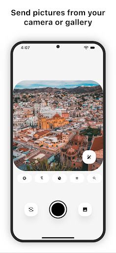 Widgetshare screenshot 10