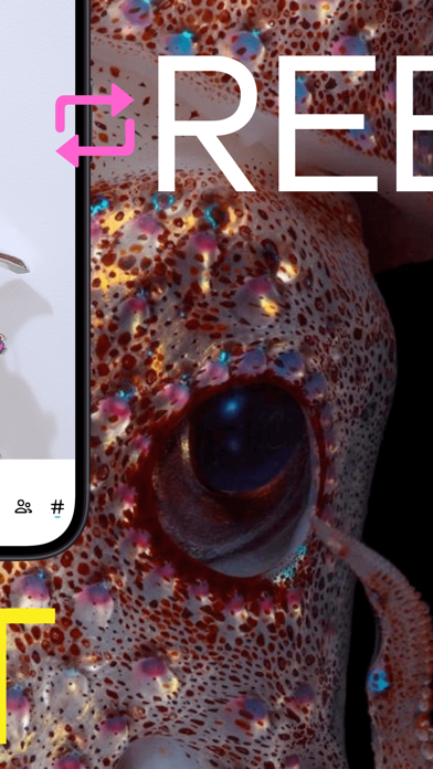 Tumblr—Fandom, Art, Chaos screenshot 6