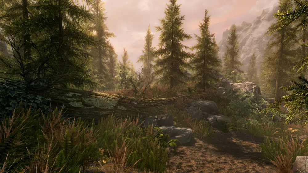 The Elder Scrolls V: Skyrim Special Edition screenshot 7
