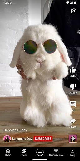 YouTube: Watch, Listen, Stream screenshot 7