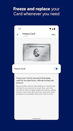 Amex screenshot 13